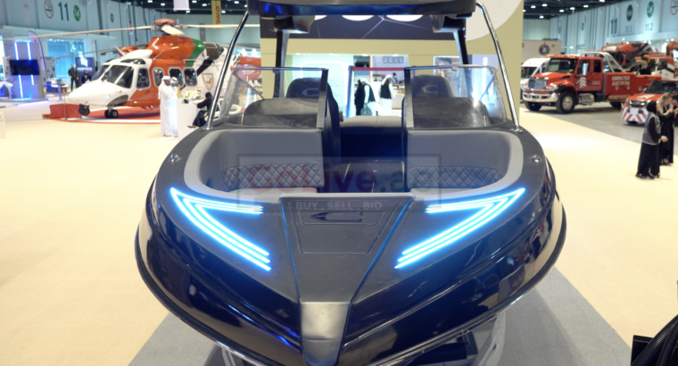⚡⚡ E-Sea Rider: 100 % Electric BOWRIDER ⚡⚡